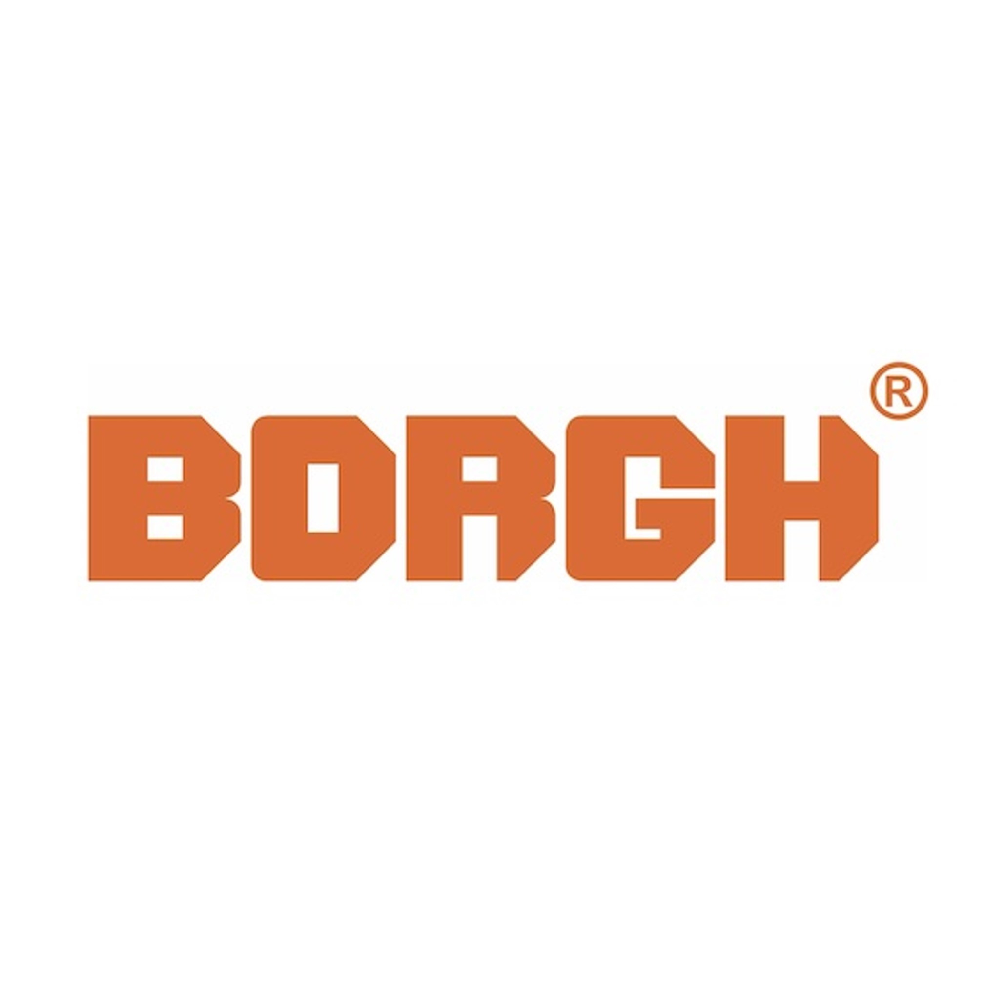 BORGH n.v.
